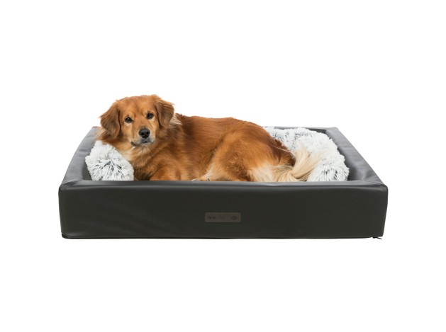 Cojín Rulo Harvey blanco-negro