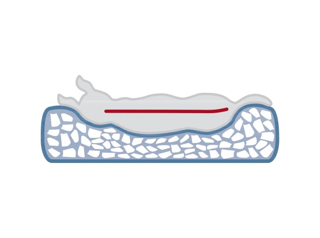 Cojín Vital Bendson