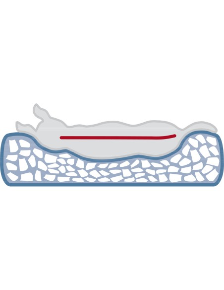 Cojín Vital Bendson