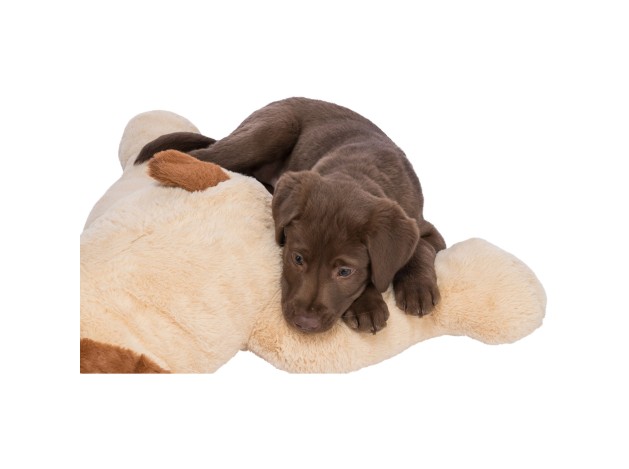 Perro mimado Benny beige/marrón 75cm