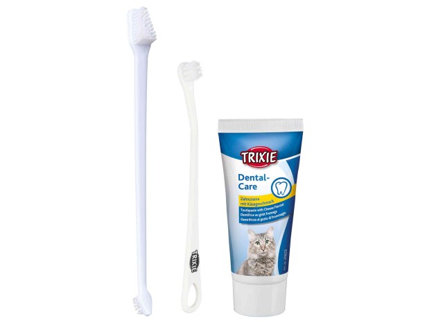 Set Higiene Dental