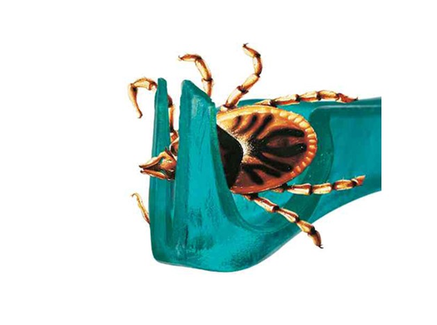 Quita Garrapatas Tick Away - Pack de 4 unidades...