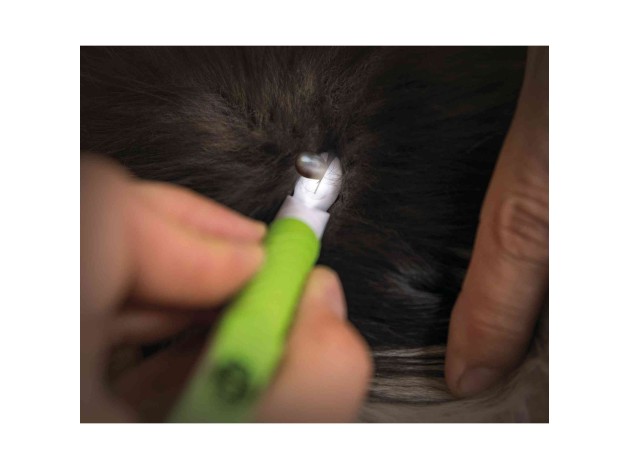 Pinzas con Luz LED - Pack de 4 unidades varios