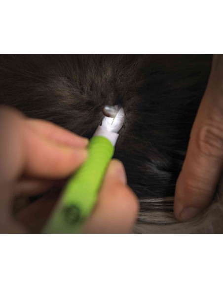 Pinzas con Luz LED - Pack de 4 unidades varios