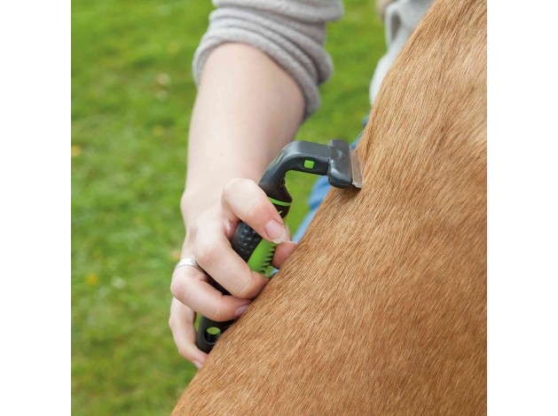 Carda de Cepillado - Pack de 2 unidades