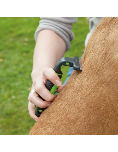 Carda de Cepillado - Pack de 2 unidades