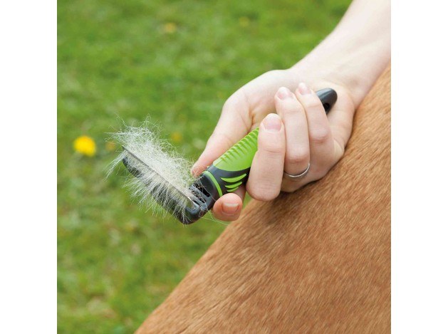 Carda de Cepillado - Pack de 2 unidades