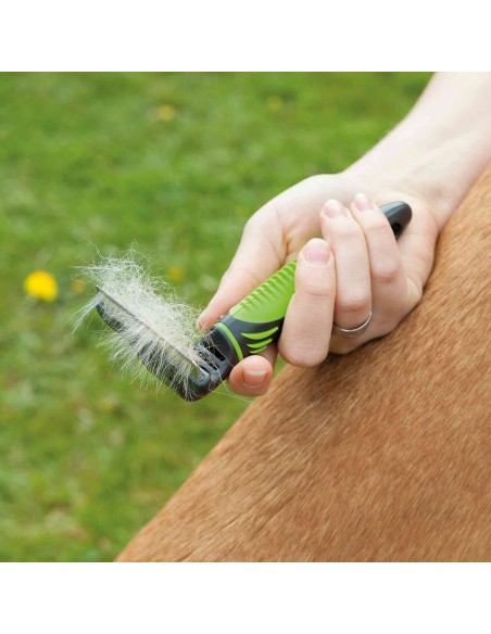 Carda de Cepillado - Pack de 2 unidades