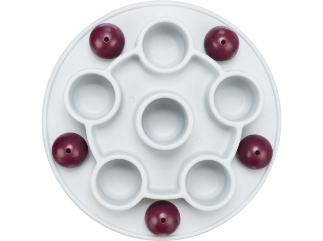 Juguete Interactivo para Gatos Pentagon