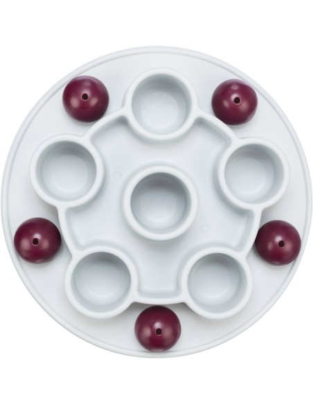 Juguete Interactivo para Gatos Pentagon