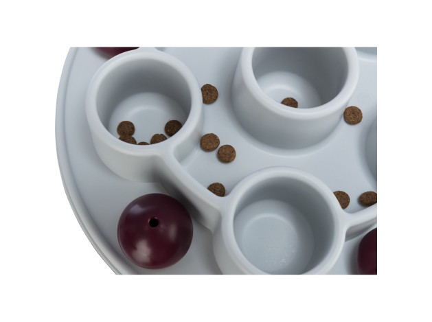 Juguete Interactivo para Gatos Pentagon