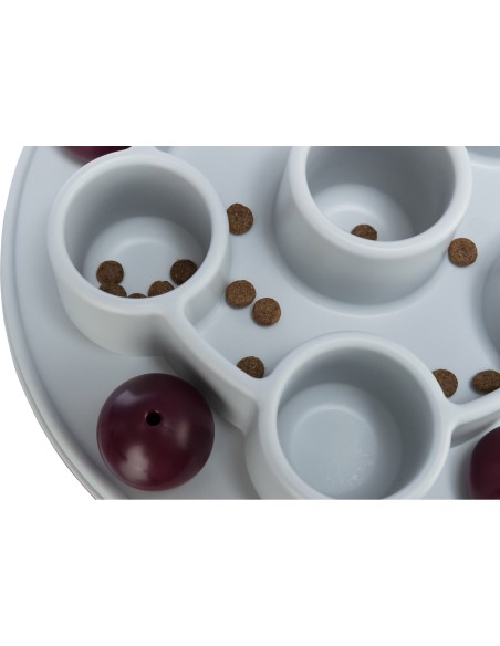 Juguete Interactivo para Gatos Pentagon