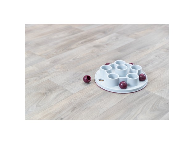 Juguete Interactivo para Gatos Pentagon