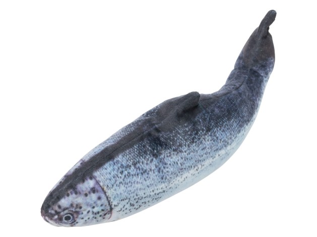 Pez enrollable - Pack de 4 unidades