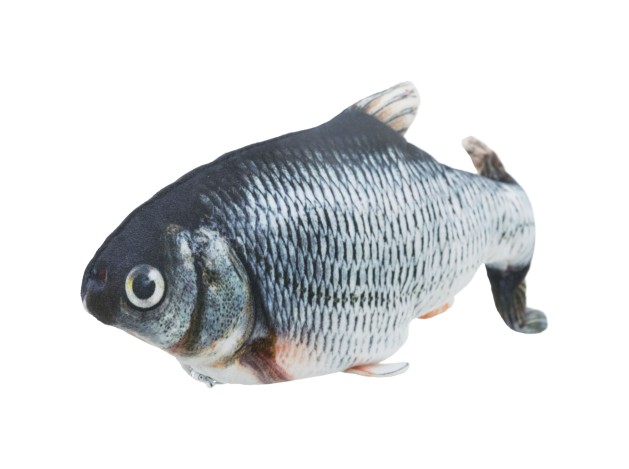 Pez enrollable - Pack de 4 unidades