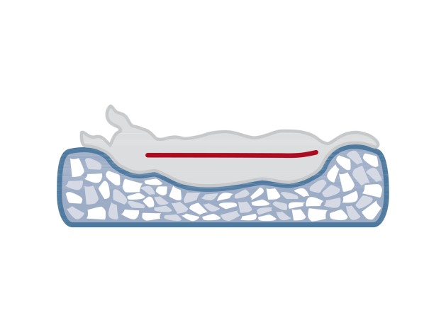 Cueva Noah Vital gris claro