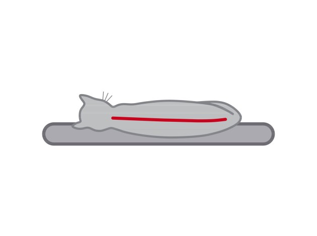 Poste Rascador XXL Tazio gris