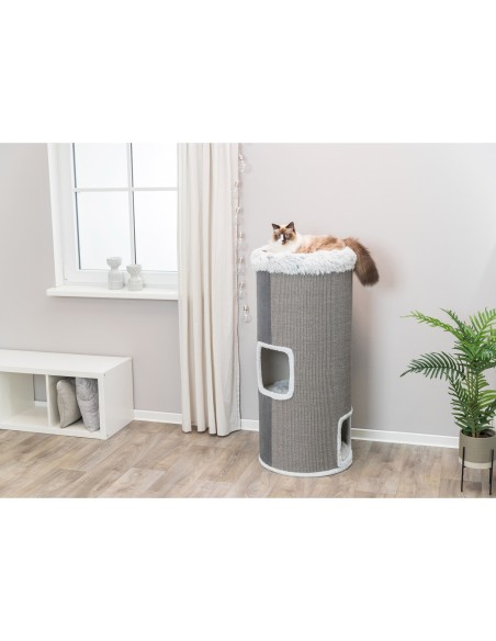 Torre Rascador Hervey