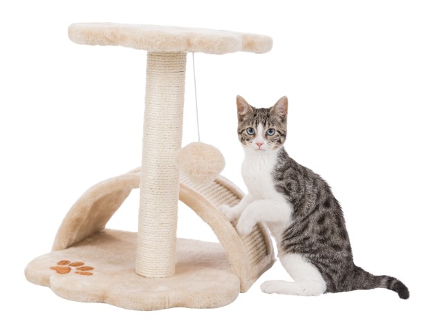 Junior Poste Rascador Vitoria beige/natural