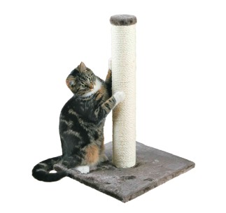 Poste Rascador Parla gris platino