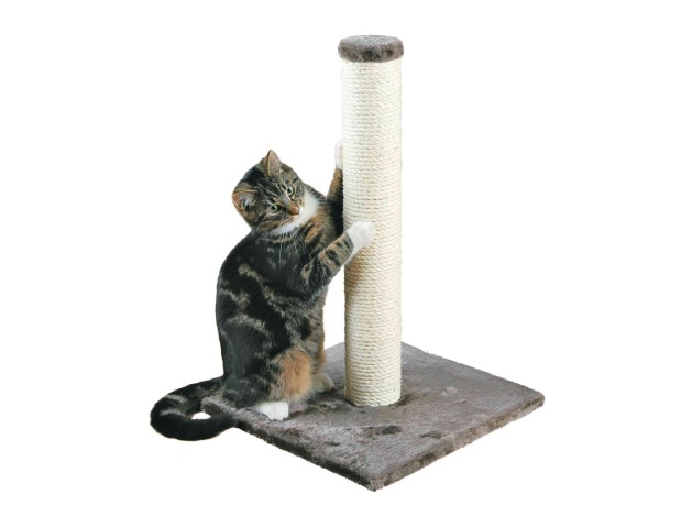 Poste Rascador Parla gris platino