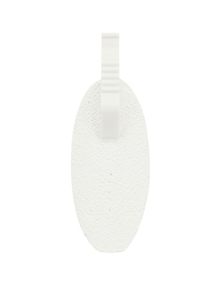 Piedra de calcio de sepia - Pack de 6 unidades