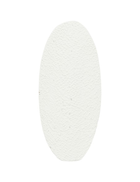 Piedra de calcio de sepia - Pack de 6 unidades