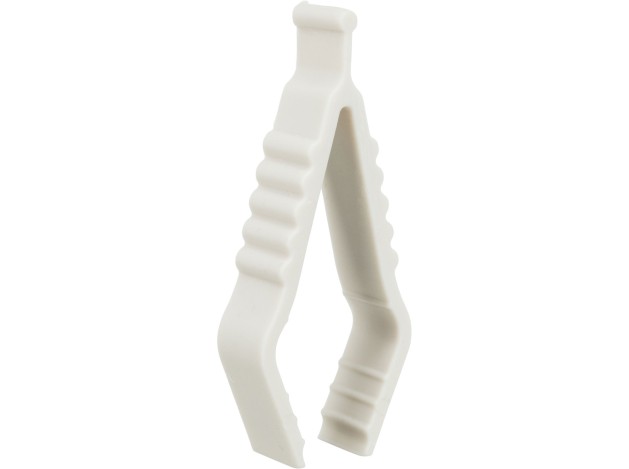 Piedra de calcio de sepia - Pack de 6 unidades