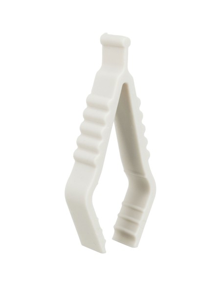 Piedra de calcio de sepia - Pack de 6 unidades