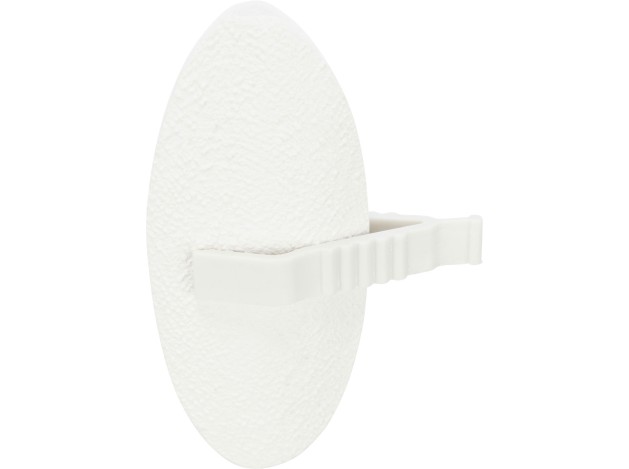 Piedra de calcio de sepia - Pack de 6 unidades