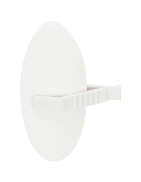 Piedra de calcio de sepia - Pack de 6 unidades