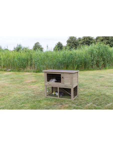 Conejera con Recinto gris-verde