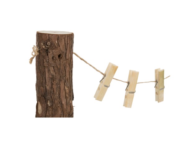 Árbol de Comida Natural Living Duo