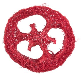 Set de juguetes de lufa - Pack de 4 unidades 2