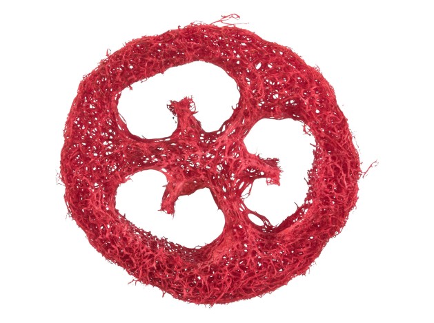 Set de juguetes de lufa - Pack de 4 unidades