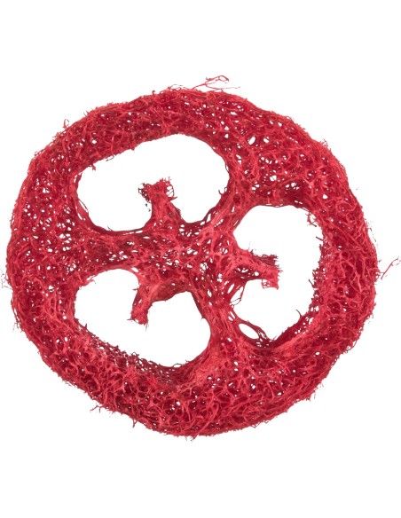 Set de juguetes de lufa - Pack de 4 unidades