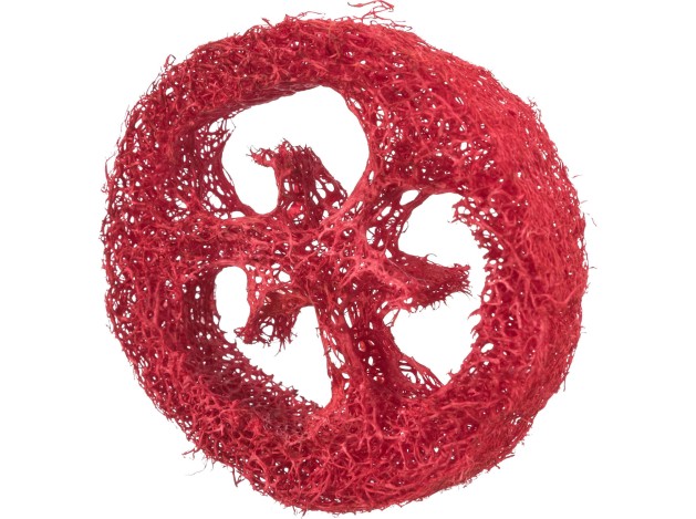 Set de juguetes de lufa - Pack de 4 unidades