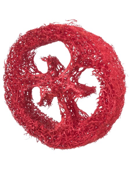 Set de juguetes de lufa - Pack de 4 unidades