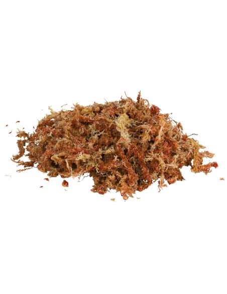 Musgo Sphagnum