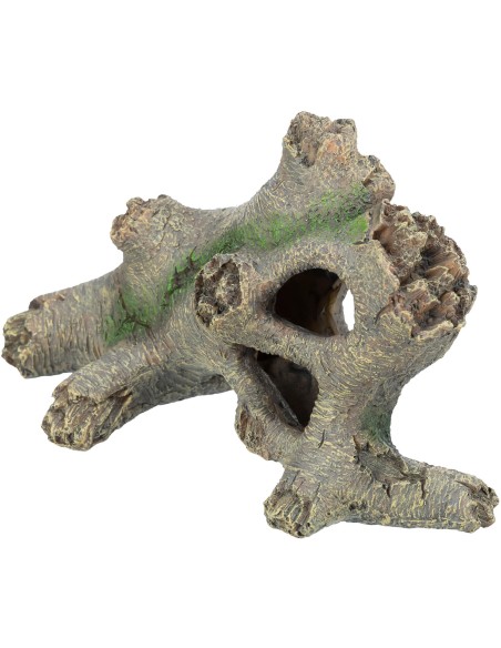 Tronco Hueco