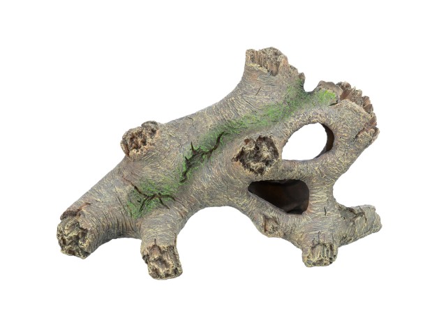 Tronco Hueco