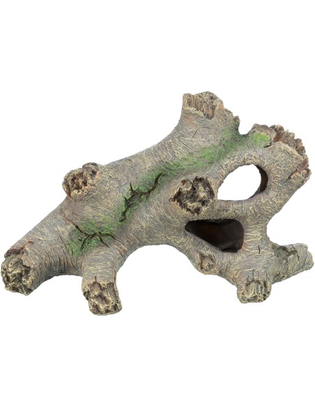 Tronco Hueco