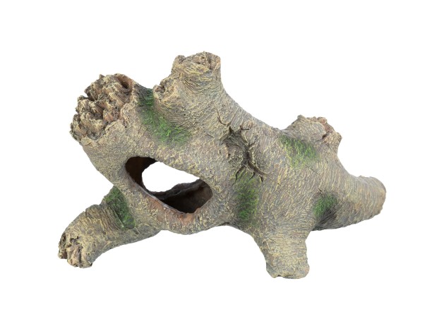 Tronco Hueco
