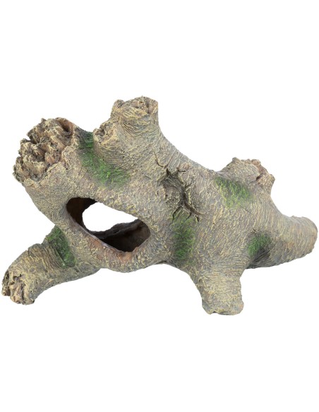 Tronco Hueco