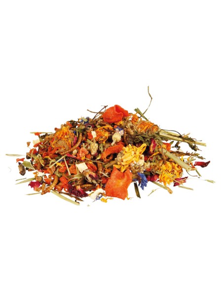 Mixtura de Alimento Natural para Dragones Barbudos