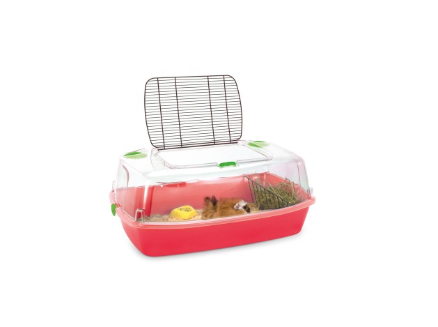 Jaula Roedor BINGO, Rojo Rojo