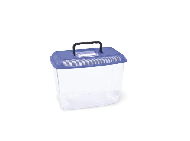 Tortuguera ARIEL LARGE, Colores Variados - Pack...