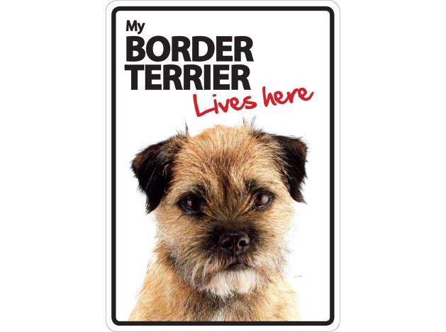 Señal A5 'Border Terrier - Lives Here'