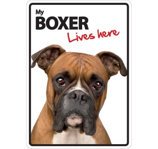 Señal A5 'Boxer - Lives Here'