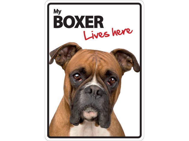 Señal A5 'Boxer - Lives Here'